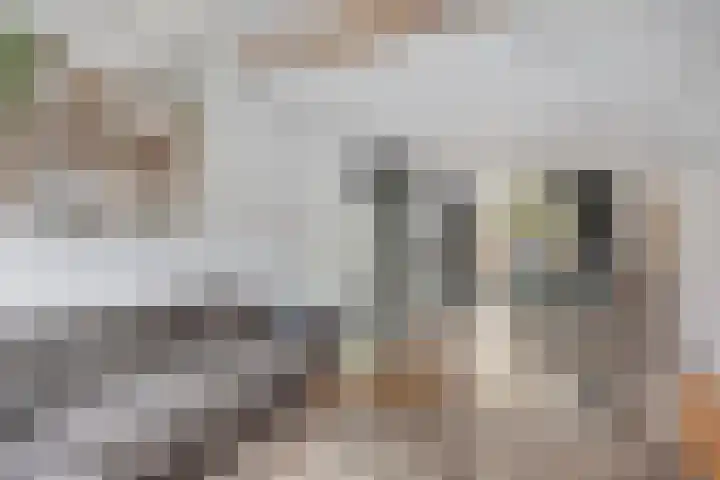 Dibbitsstraat 9 Zwaag thumbnail 7