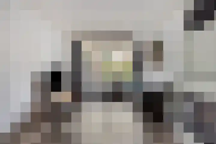 Dibbitsstraat 9 Zwaag thumbnail 8