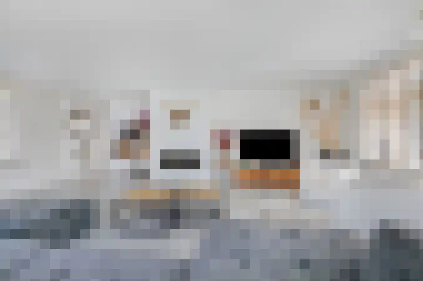 Dichterseweg 104 Doetinchem thumbnail 28