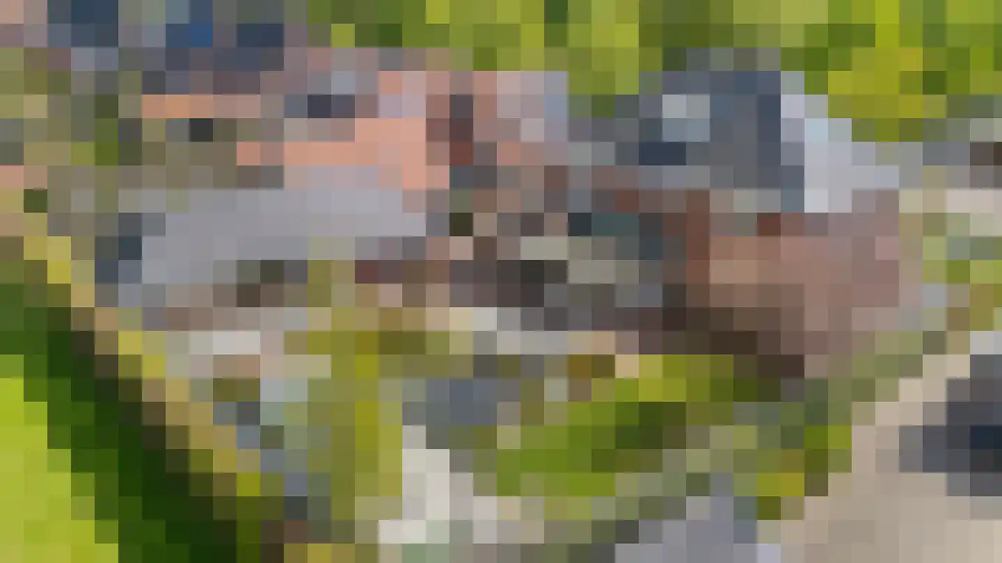Dichterseweg 104 Doetinchem thumbnail 4