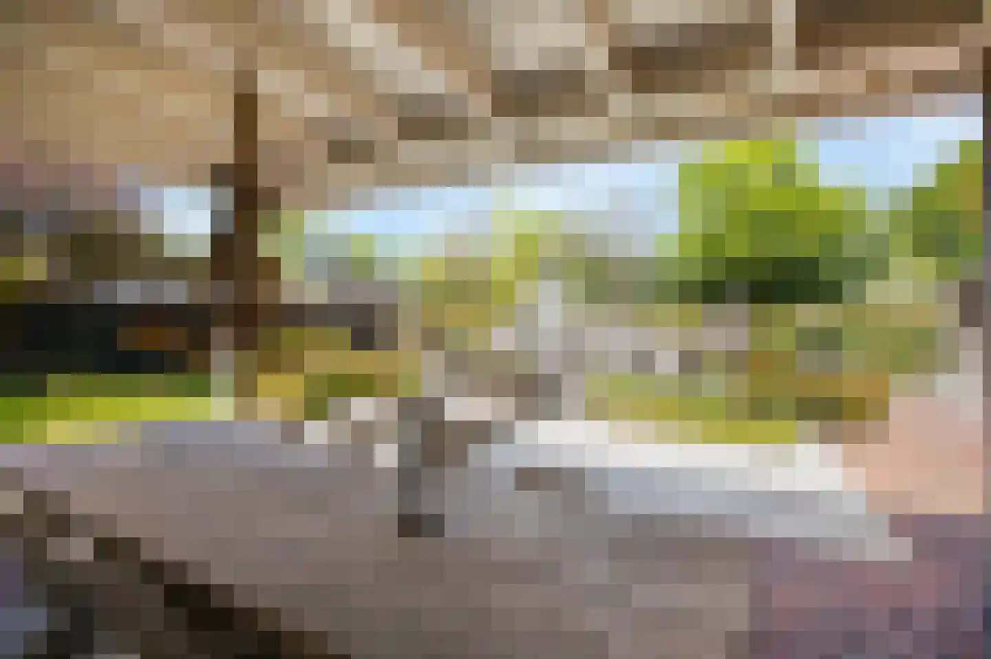 Dichterseweg 104 Doetinchem thumbnail 42