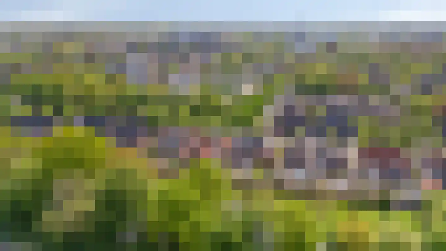 Dichterseweg 104 Doetinchem thumbnail 7