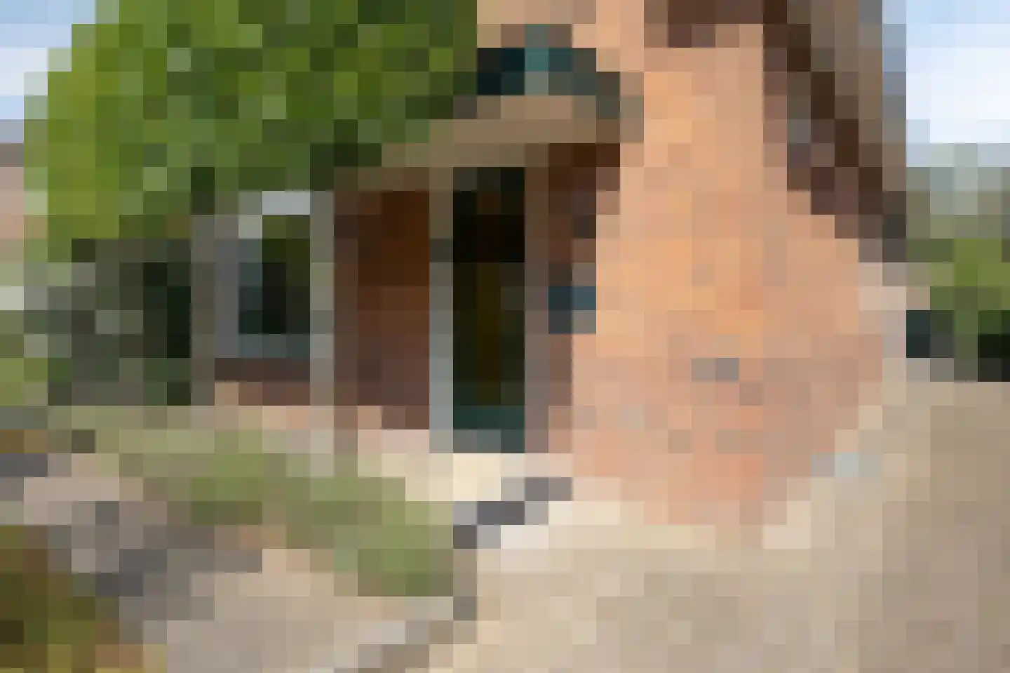 Dichterseweg 106 Doetinchem thumbnail 4