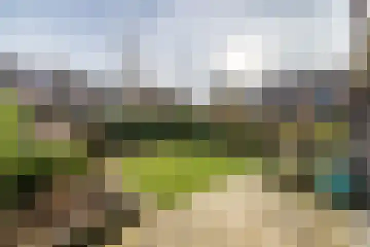 Dichterseweg 111 Doetinchem thumbnail 15