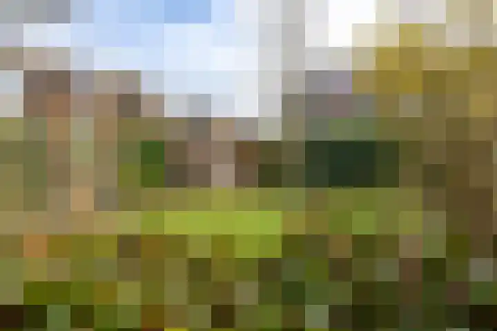 Dichterseweg 111 Doetinchem thumbnail 16