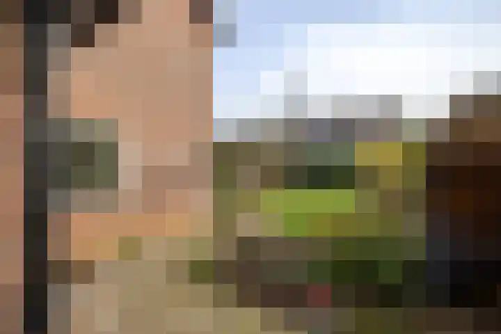 Dichterseweg 111 Doetinchem thumbnail 18