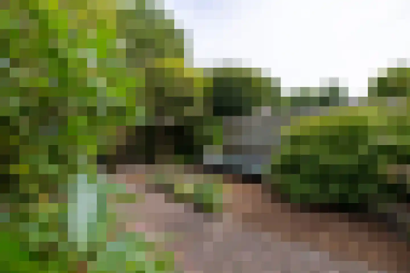 Dichterseweg 136 Doetinchem thumbnail 22