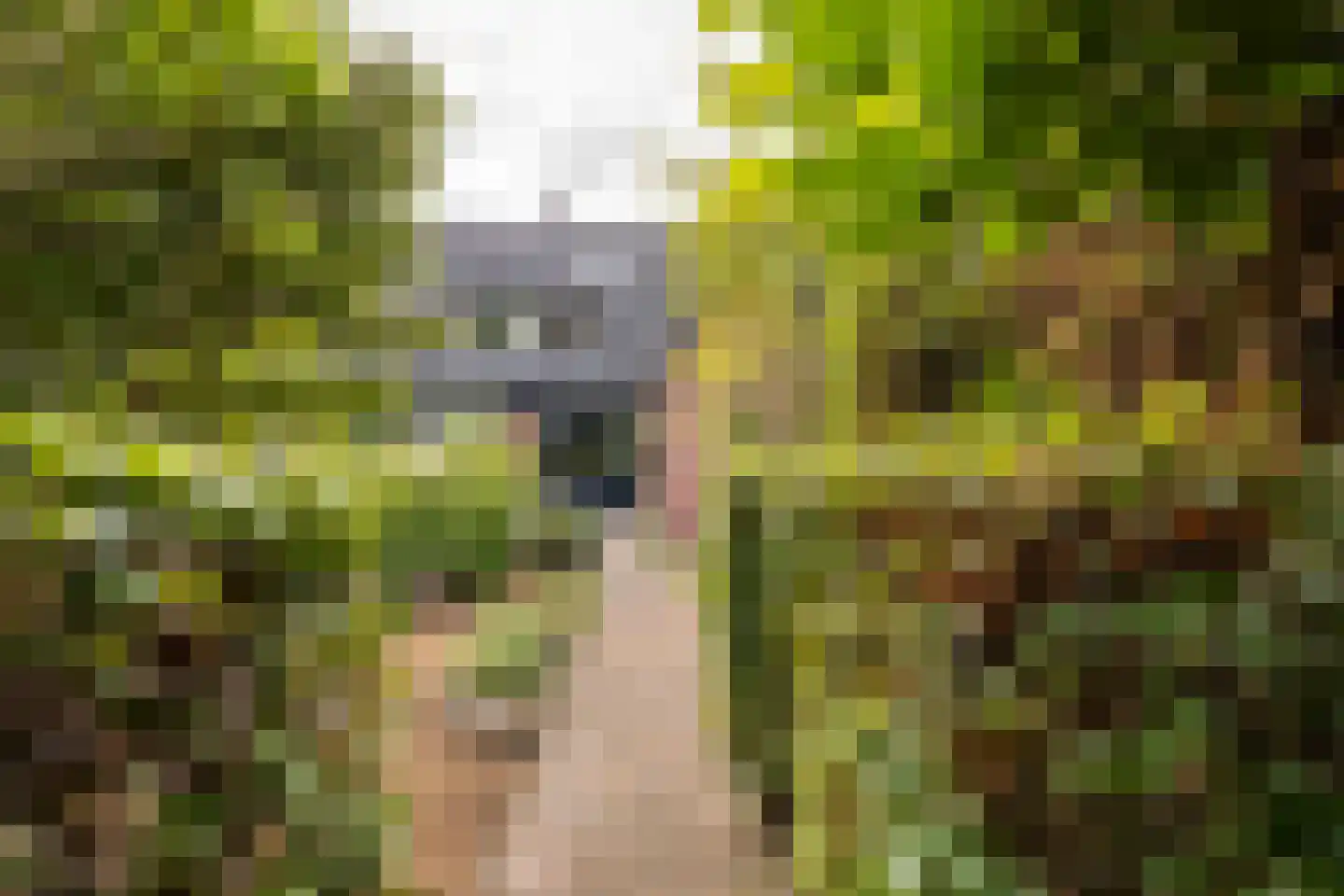 Dichterseweg 136 Doetinchem thumbnail 23
