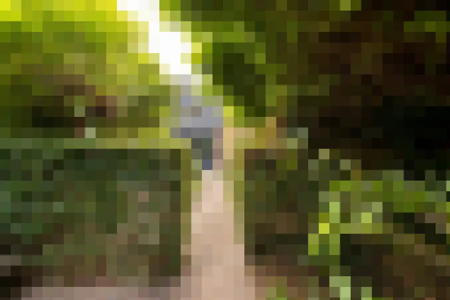 Dichterseweg 136 Doetinchem thumbnail 24
