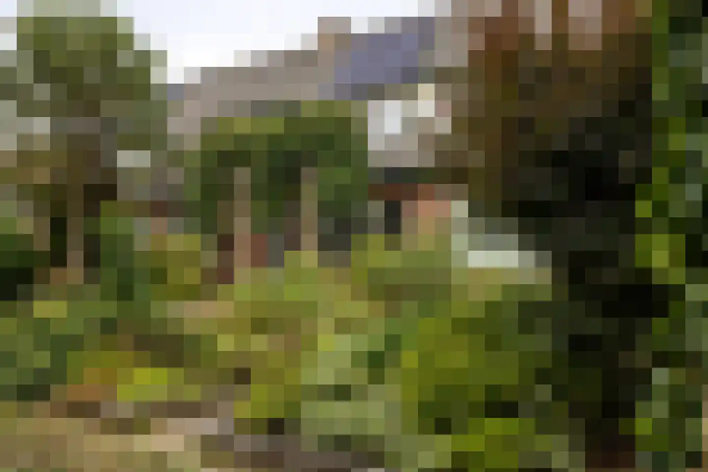 Dichterseweg 136 Doetinchem thumbnail 25