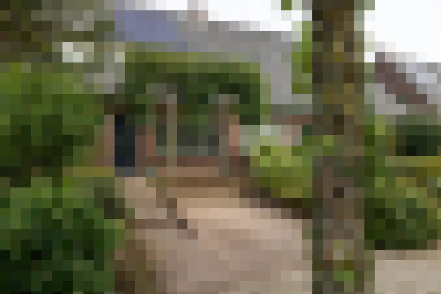 Dichterseweg 136 Doetinchem thumbnail 26