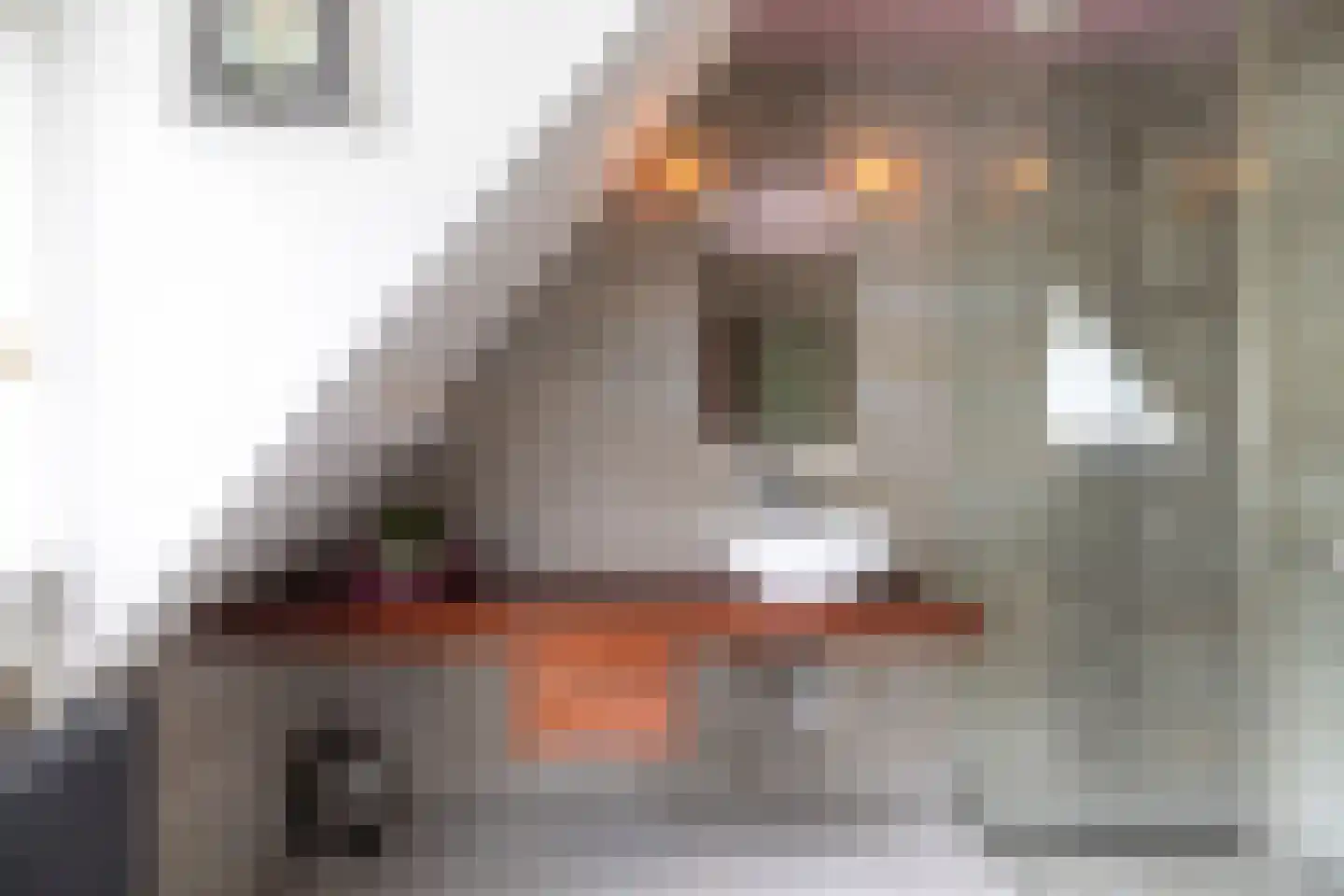 Dichterseweg 136 Doetinchem thumbnail 39