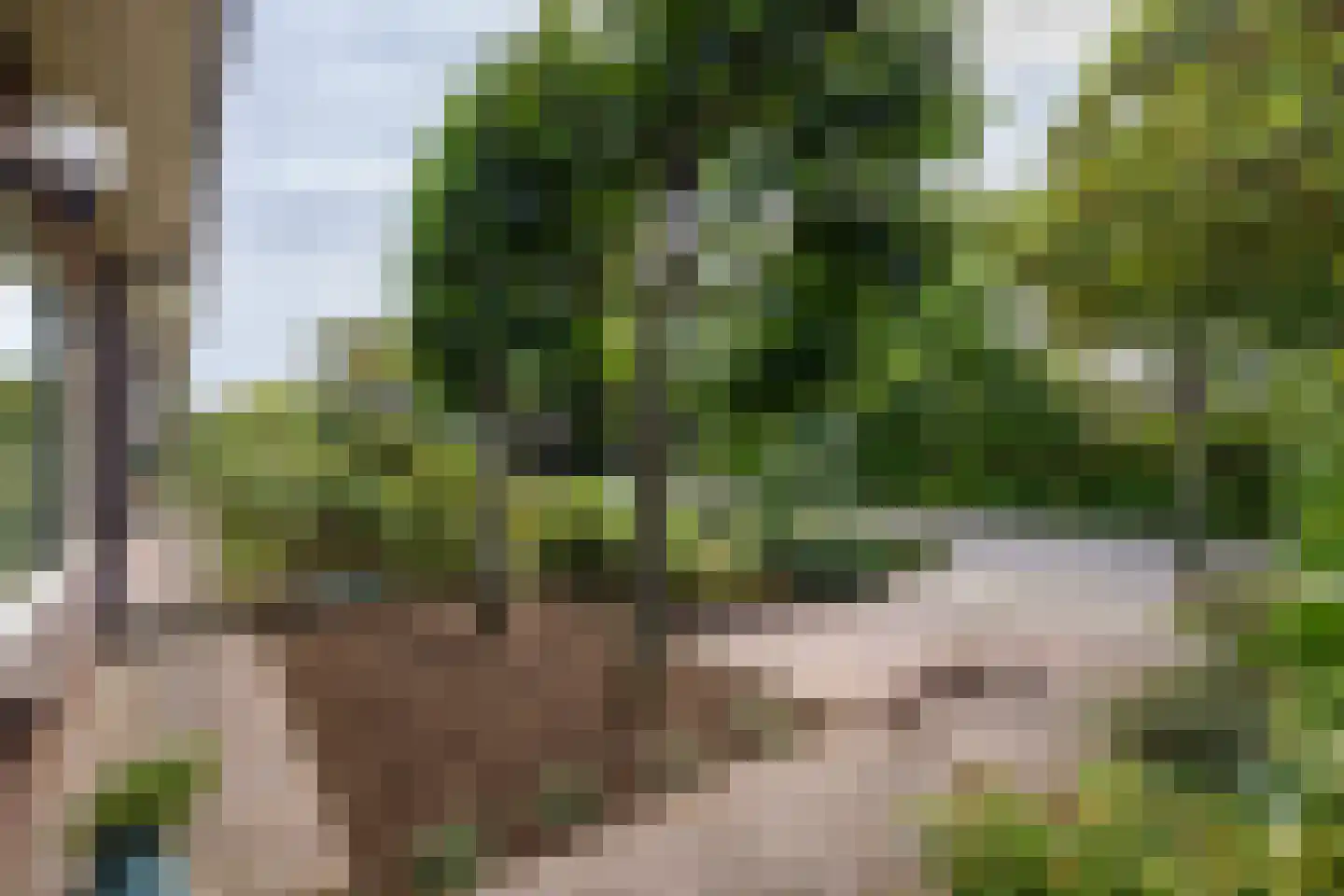 Dichterseweg 136 Doetinchem thumbnail 51