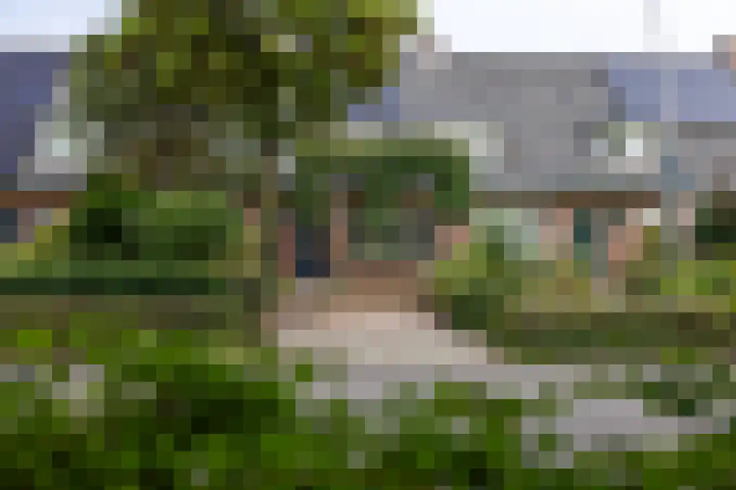 Dichterseweg 136 Doetinchem thumbnail 52