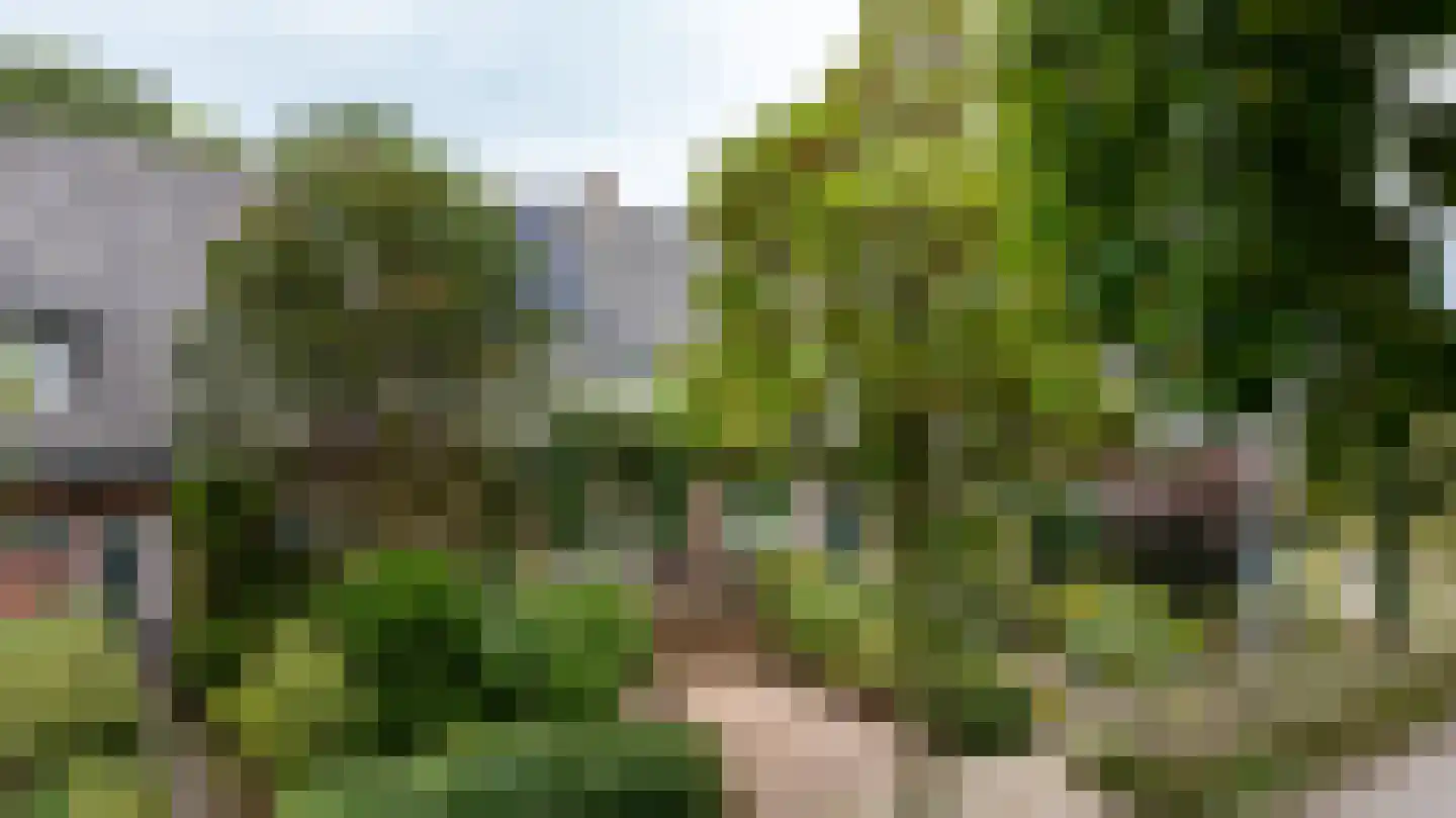 Dichterseweg 136 Doetinchem thumbnail 53
