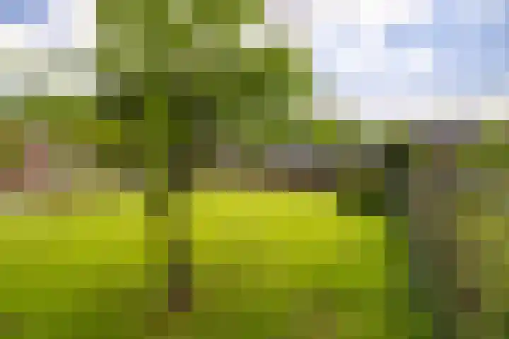Dichterseweg 74 Doetinchem thumbnail 22