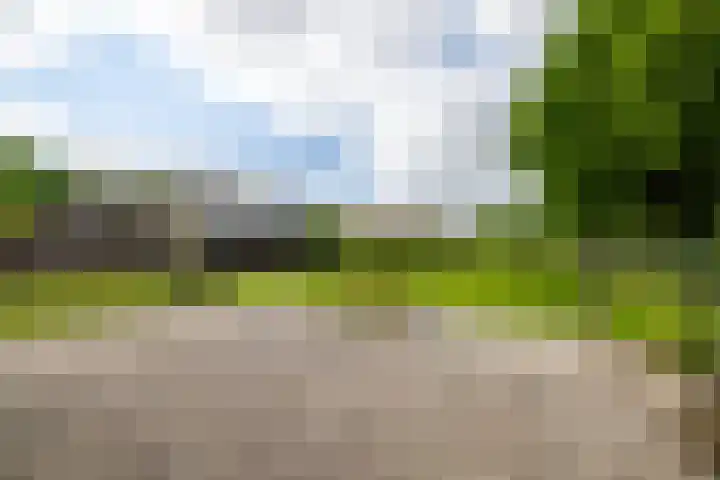 Dichterseweg 74 Doetinchem thumbnail 23