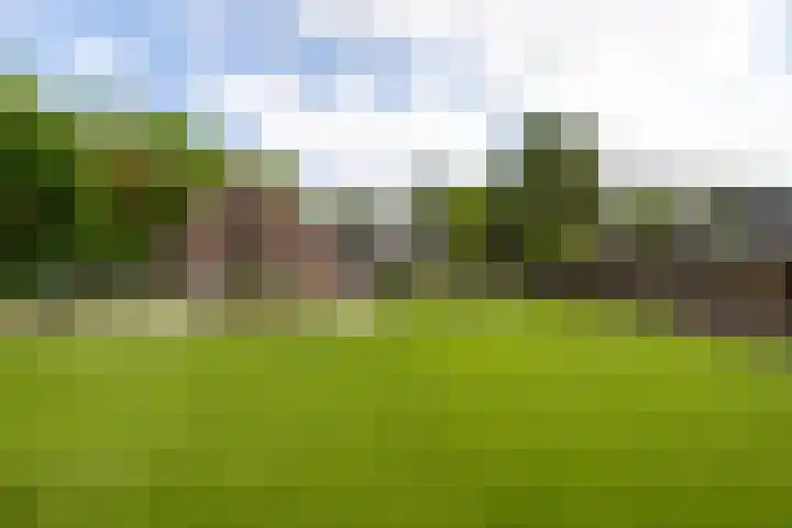 Dichterseweg 74 Doetinchem thumbnail 24