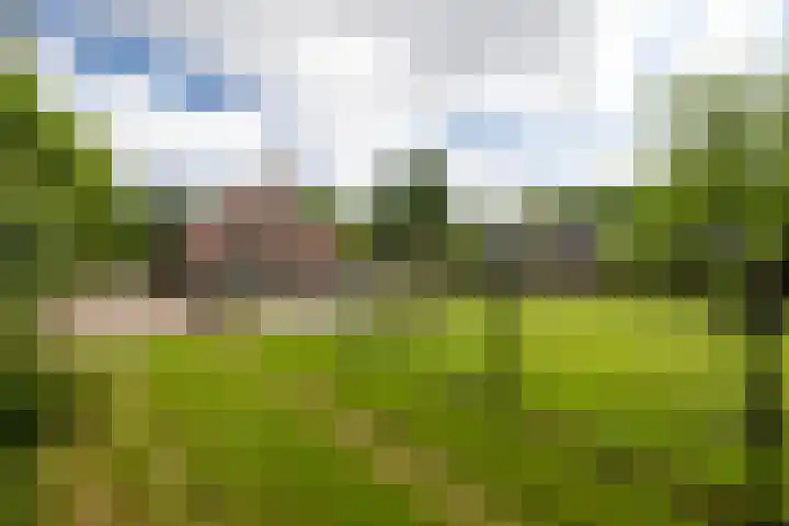 Dichterseweg 74 Doetinchem thumbnail 25