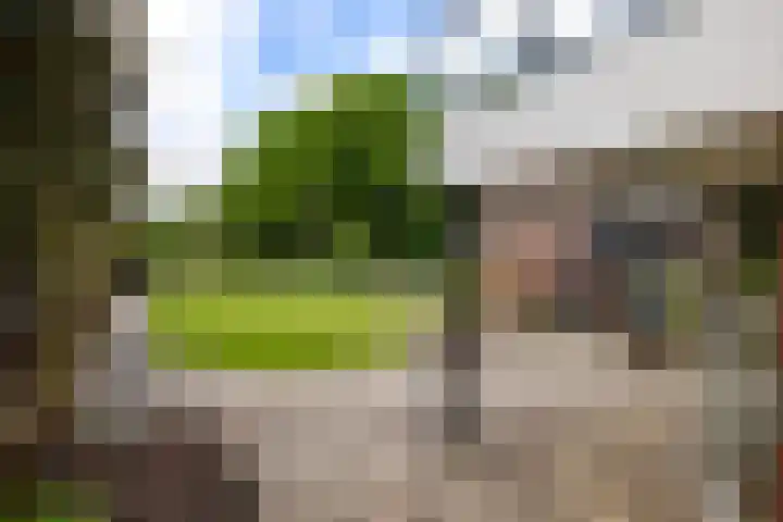 Dichterseweg 74 Doetinchem thumbnail 26