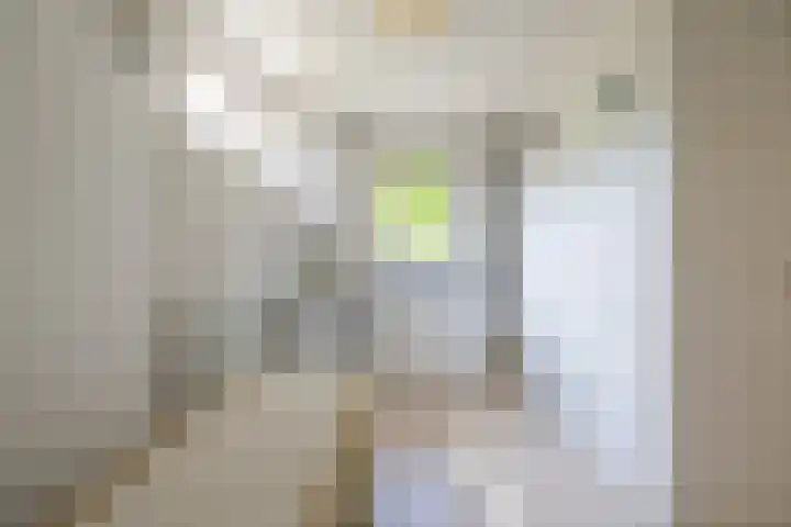 Dichterseweg 74 Doetinchem thumbnail 32