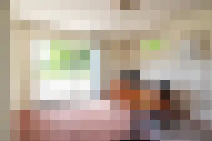 Dichterseweg 74 Doetinchem thumbnail 36