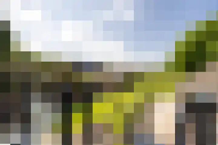 Dichterseweg 74 Doetinchem thumbnail 68