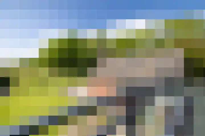 Dichterseweg 74 Doetinchem thumbnail 69