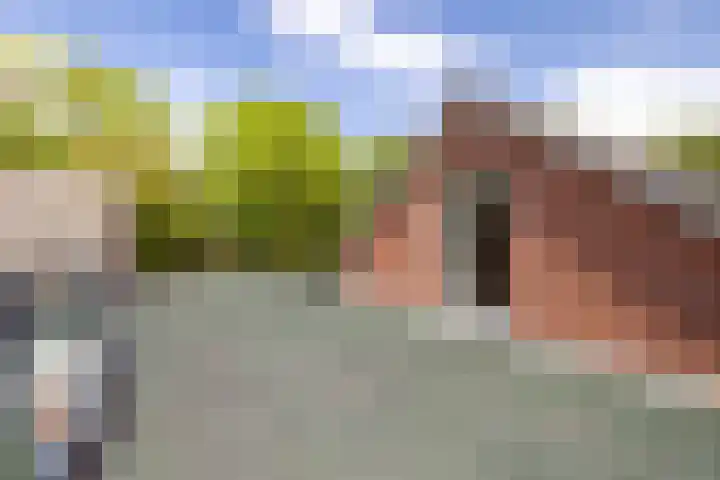 Dichterseweg 74 Doetinchem thumbnail 70