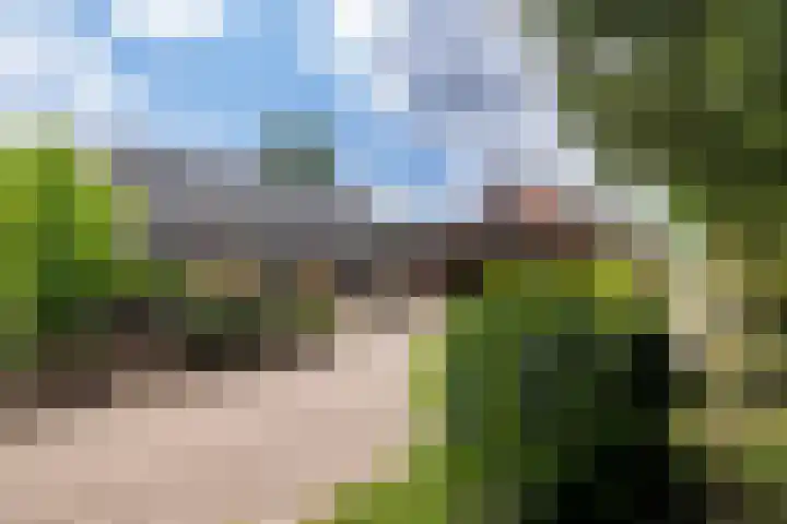 Dichterseweg 74 Doetinchem thumbnail 77
