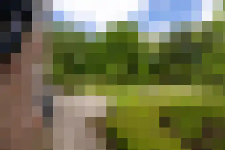 Dichterseweg 74 Doetinchem thumbnail 78