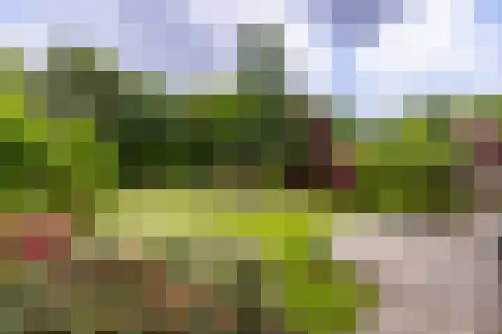 Dichterseweg 74 Doetinchem thumbnail 79