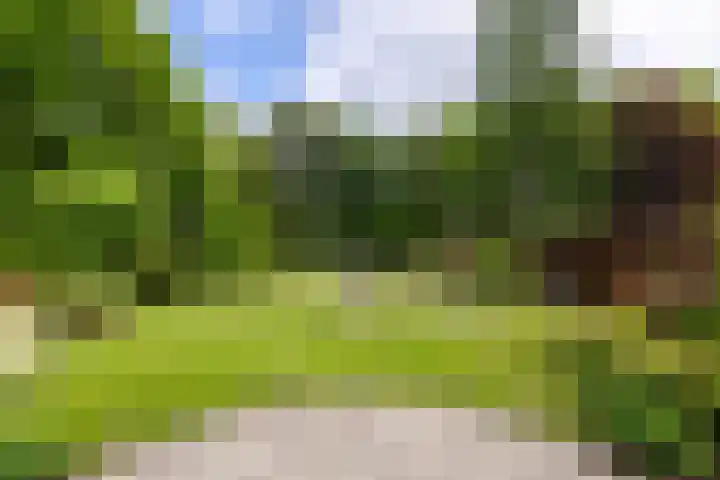 Dichterseweg 74 Doetinchem thumbnail 80