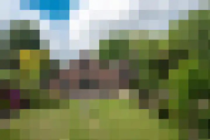 Dichterseweg 74 Doetinchem thumbnail 81
