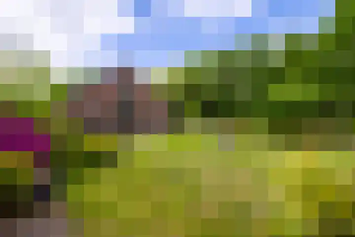 Dichterseweg 74 Doetinchem thumbnail 82