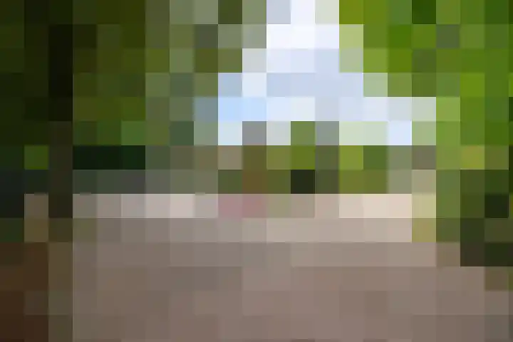 Dichterseweg 74 Doetinchem thumbnail 84