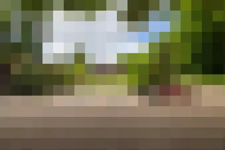 Dichterseweg 74 Doetinchem thumbnail 85