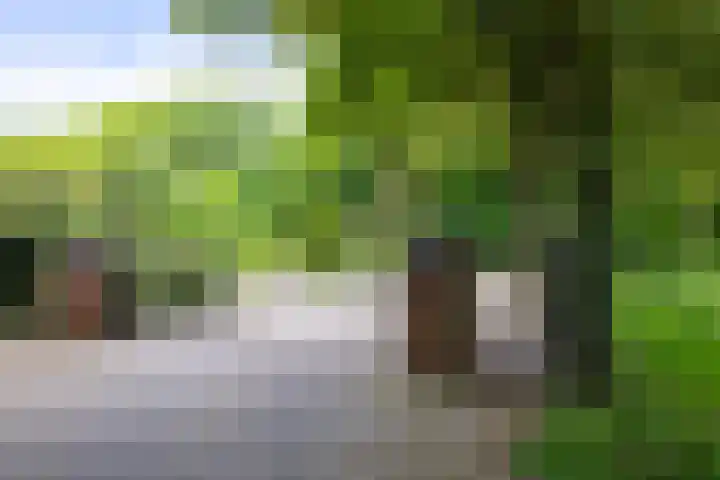 Dichterseweg 74 Doetinchem thumbnail 86