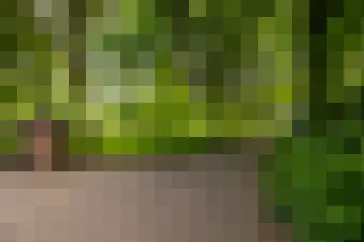 Dichterseweg 74 Doetinchem thumbnail 87