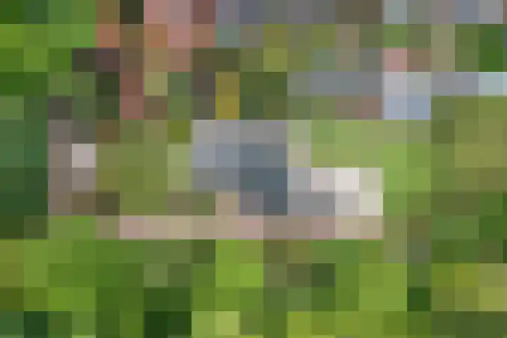 Dichterseweg 74 Doetinchem thumbnail 88