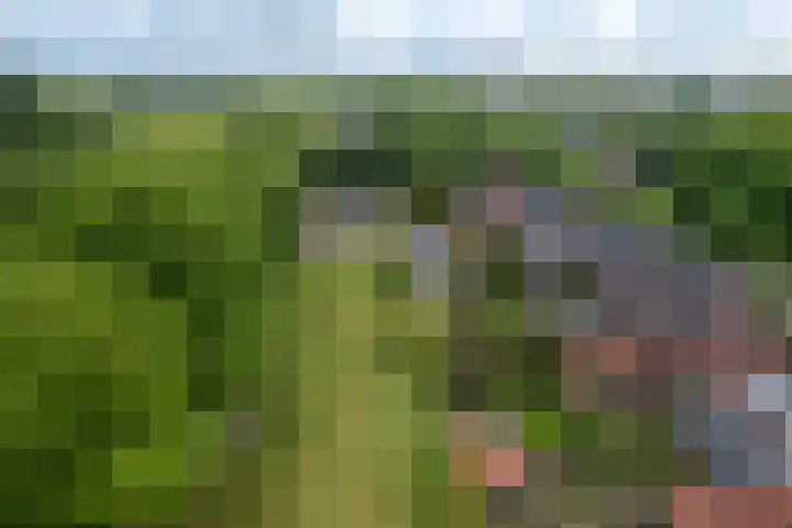 Dichterseweg 74 Doetinchem thumbnail 89