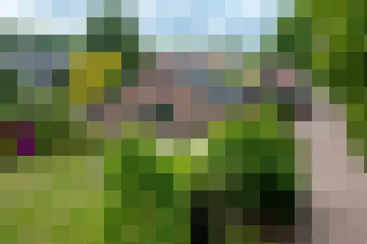 Dichterseweg 74 Doetinchem thumbnail 90