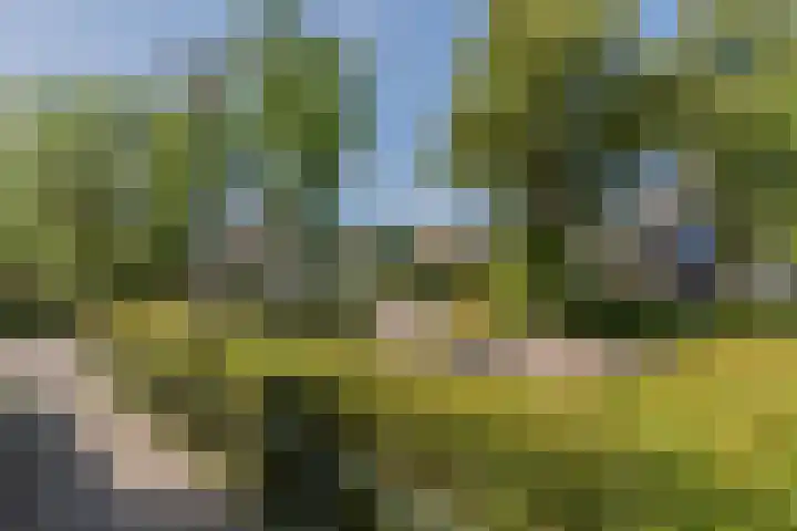 Dichtershof 59 Weesp thumbnail 54