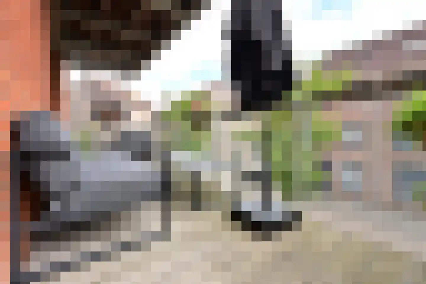 Dichtershof 8 Weesp thumbnail 12