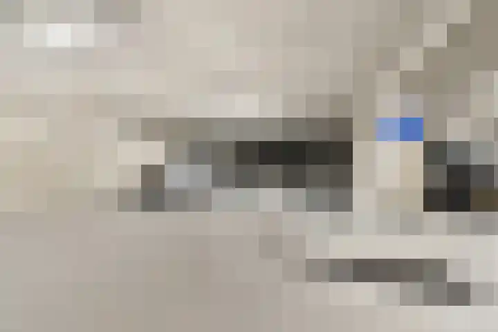 Dichtershofje 23 Amsterdam thumbnail 17
