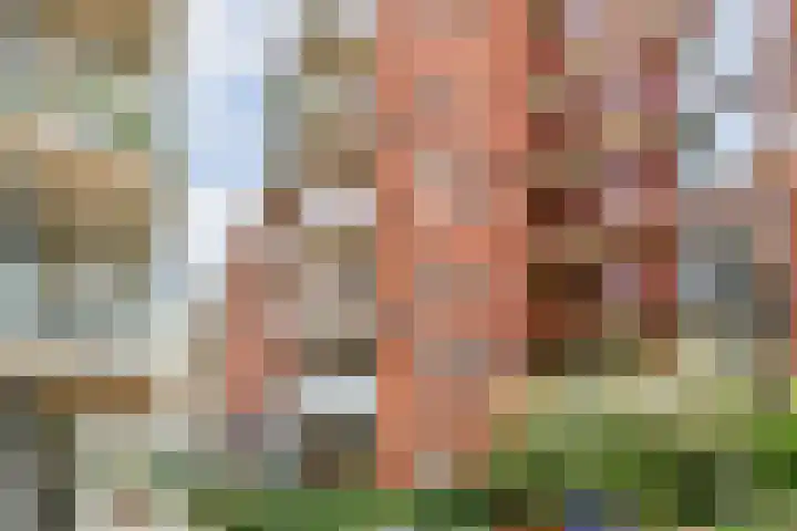 Dichtershofje 23 Amsterdam thumbnail 20