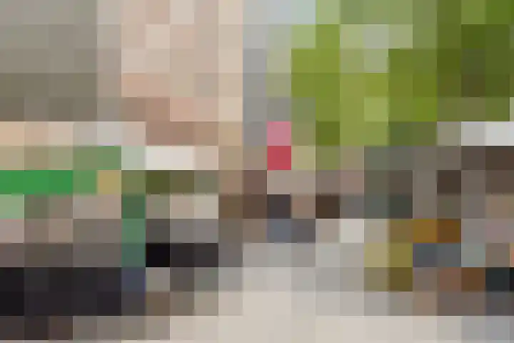 Dichtershofje 23 Amsterdam thumbnail 22