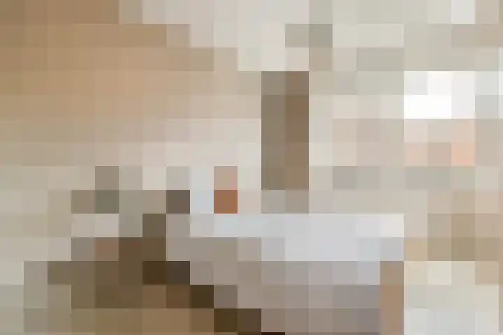 Dichtershofje 23 Amsterdam thumbnail 8