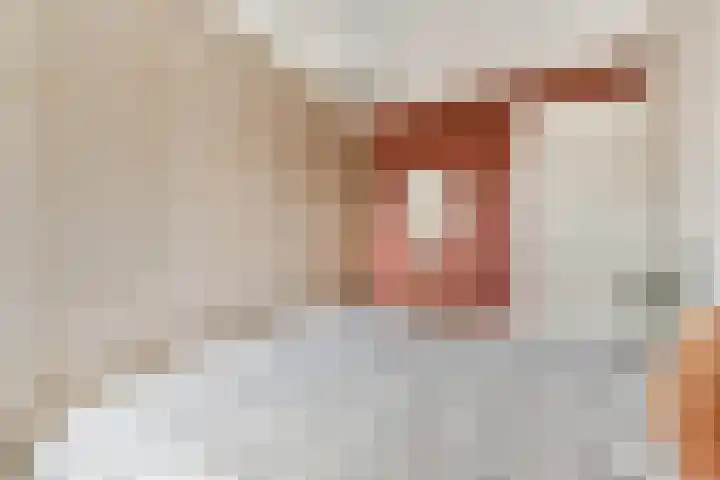 Dichtershofje 23 Amsterdam thumbnail 9