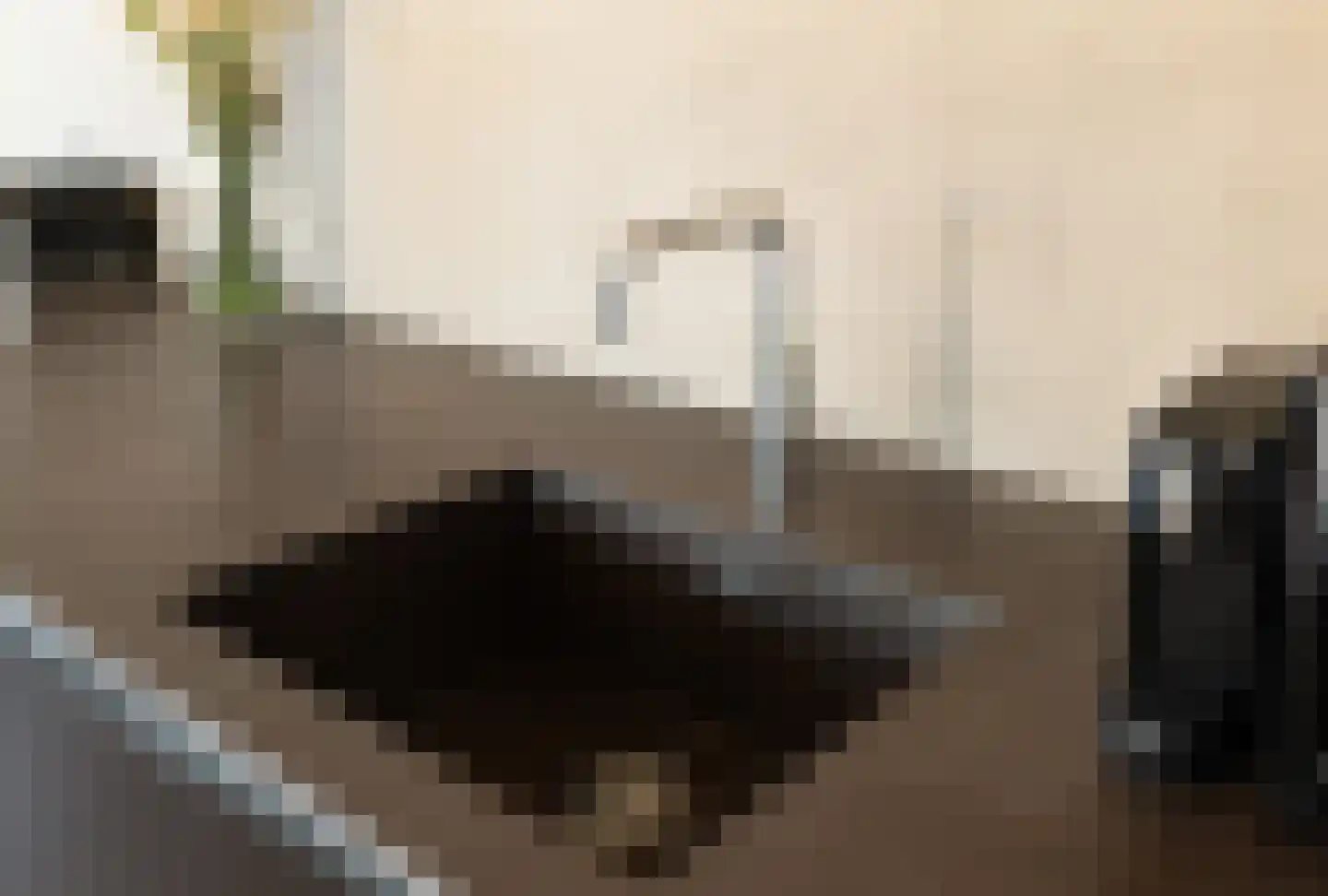 Dichtershofje 41 Amsterdam thumbnail 16